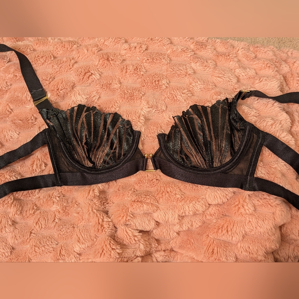 Bluebella Black Sheer Embroidered Balconette Bra - Picture 2 of 6